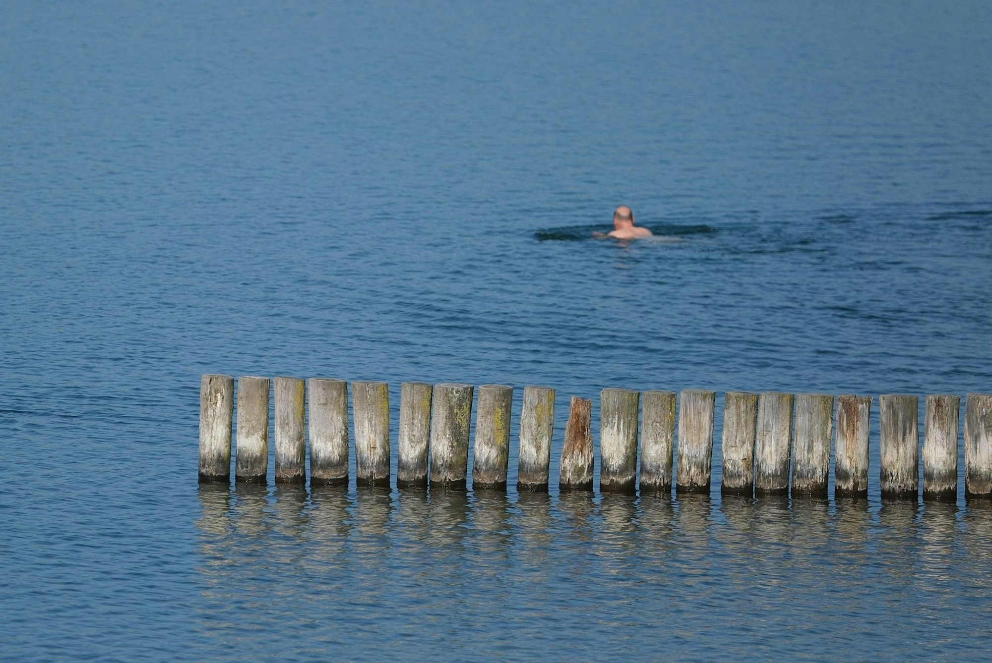 Viele Menschen dürften an diesem Wochenende Abkühlung suchen - so wie dieser Schwimmer am Markkleeberger See bei Leipzig.