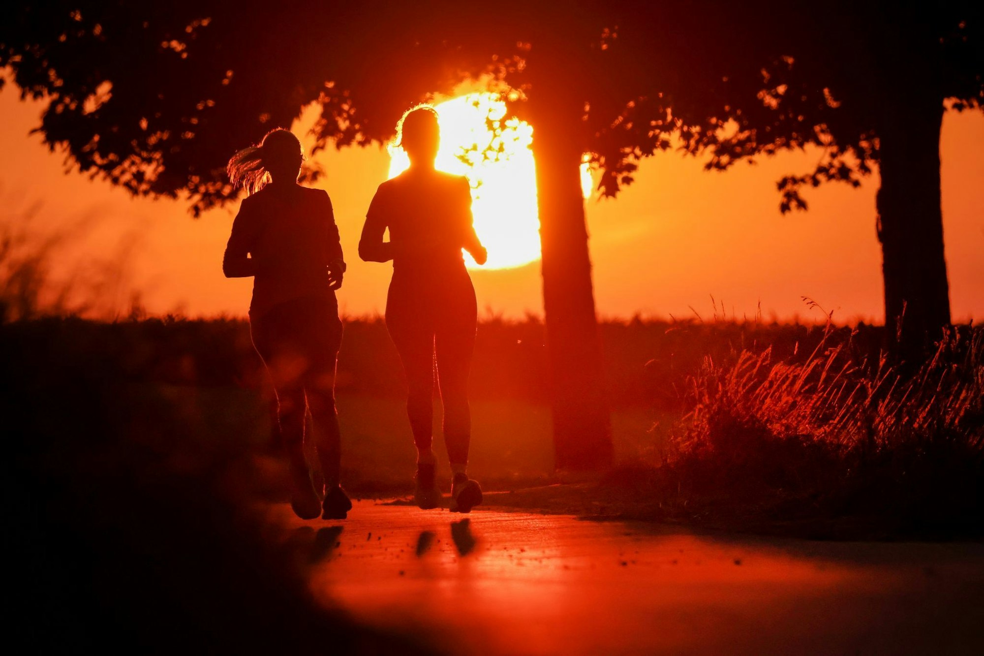 Zwei Frauen joggen am Morgen, während hinter ihnen die Sonne aufgeht.