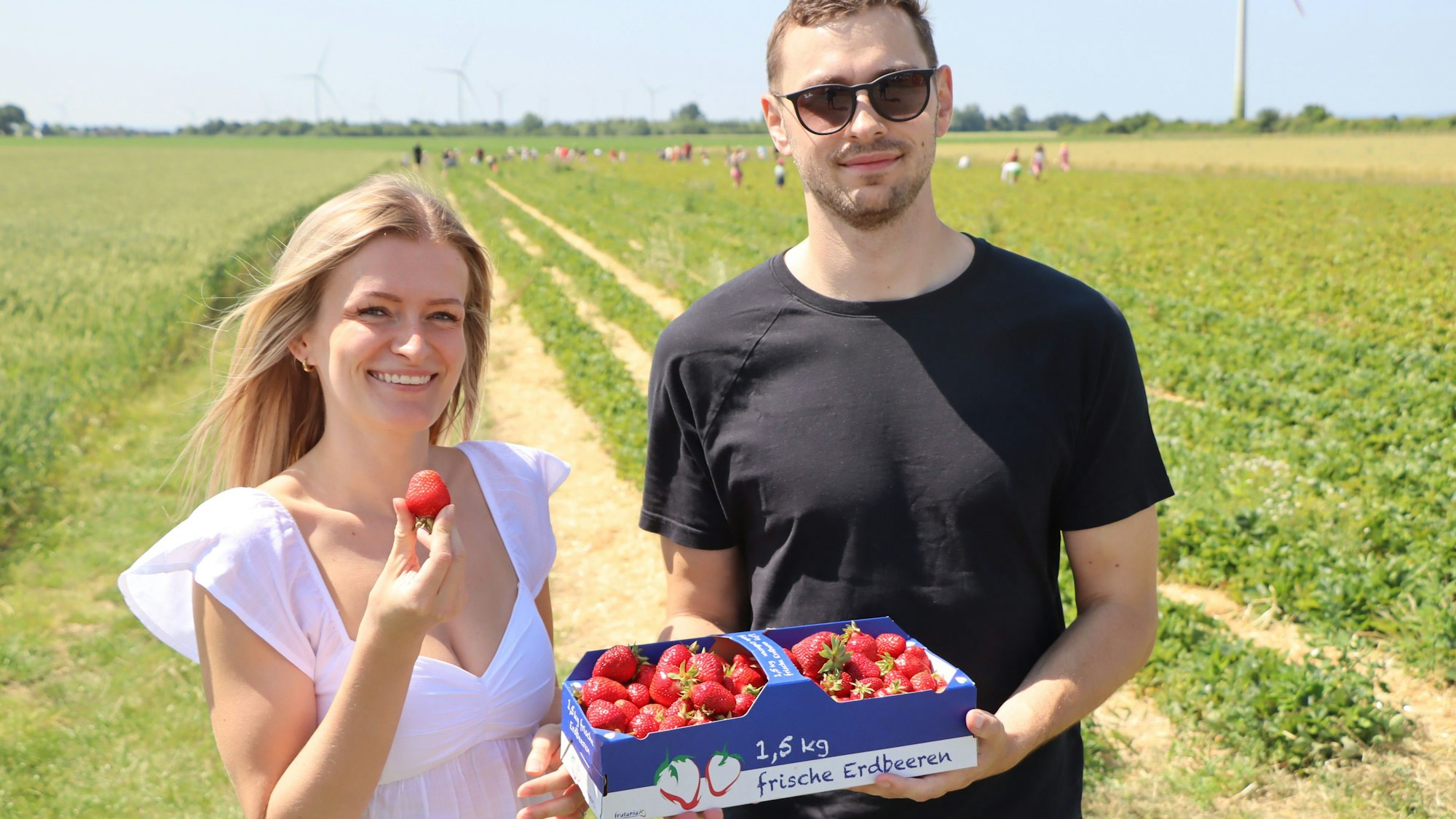 Auf dem Bild ist ein junges Paar auf einem Erdbeerfeld zu sehen, sie zeigen ihren Korb mit geernteten Erdbeeren.