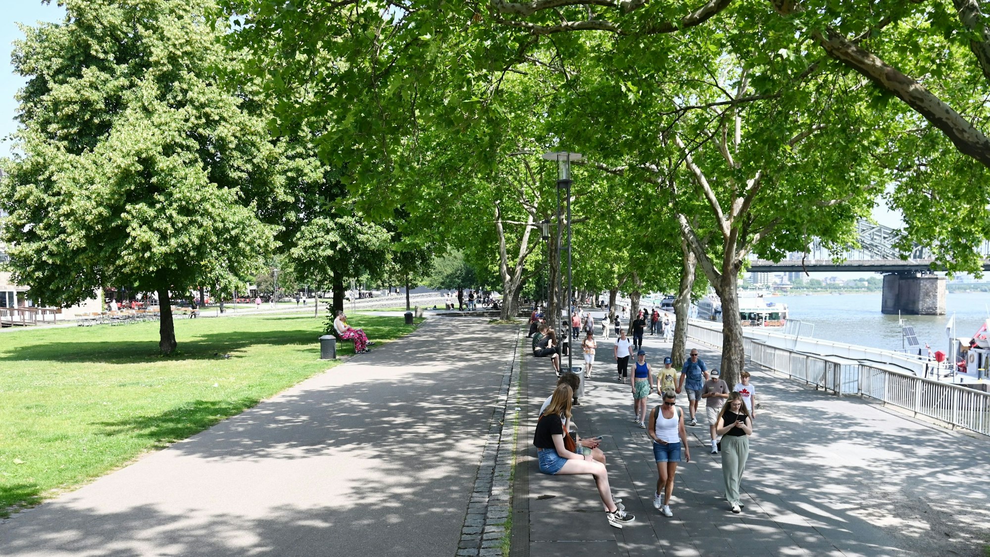 Der Wochenstart in Köln bringt kühlere Temperaturen mit sich.