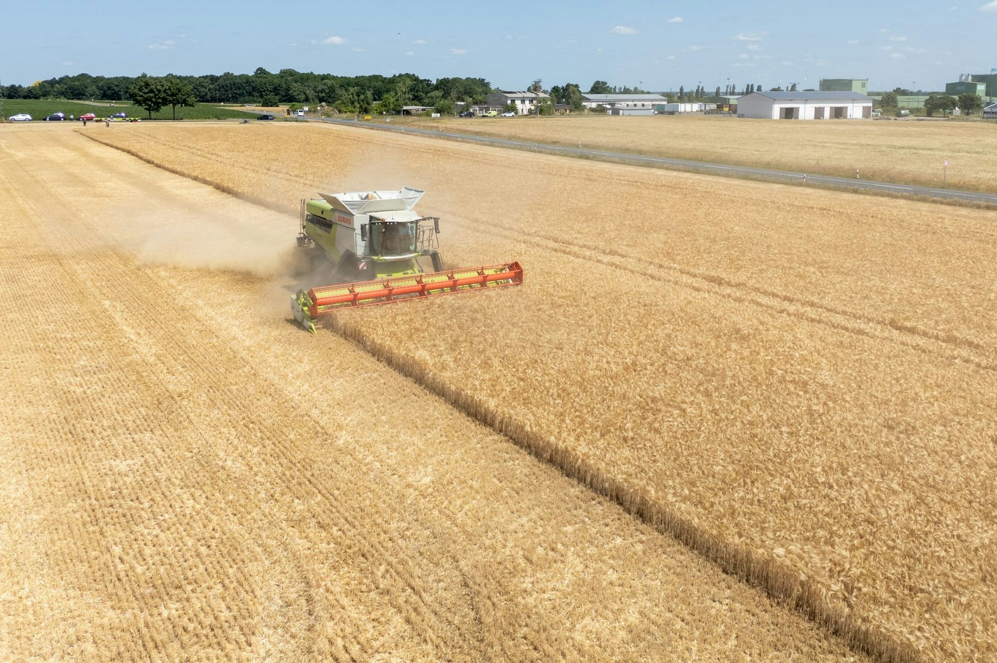 Die Landwirte hoffen nach einem trockenen Frühjahr auf eine durchschnittliche Ernte. (Archivbild)