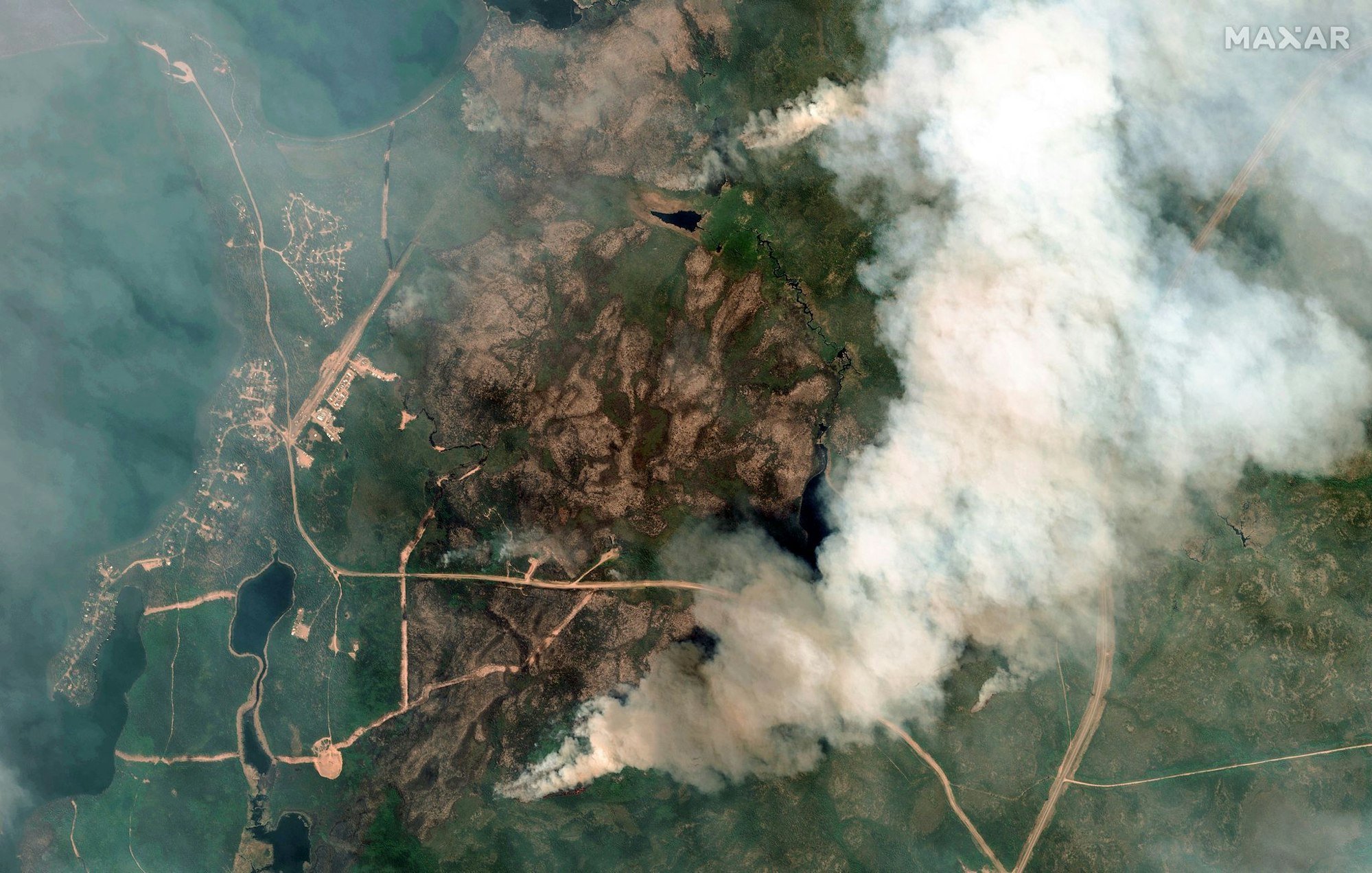 Die zunehmende Waldbrandgefahr ist nur einer der Gründe, weshalb Aufforstung als CO2-Ausgleich seine Tücken hat.
