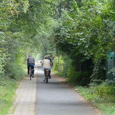Der Radweg ist zum Teil mit Gras zugewuchert.