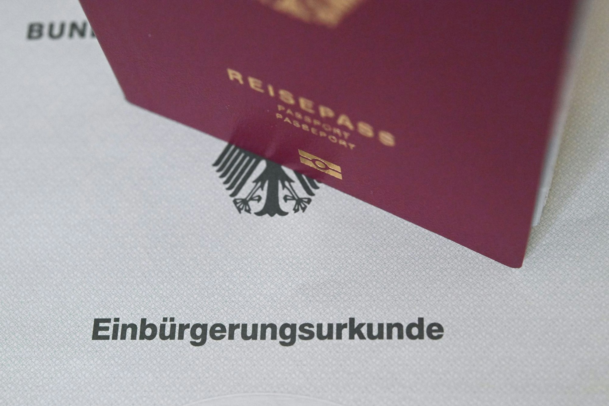 Die hohe Nachfrage nach Einbürgerungsterminen führt bei vielen Kommunen zu langen Wartezeiten.