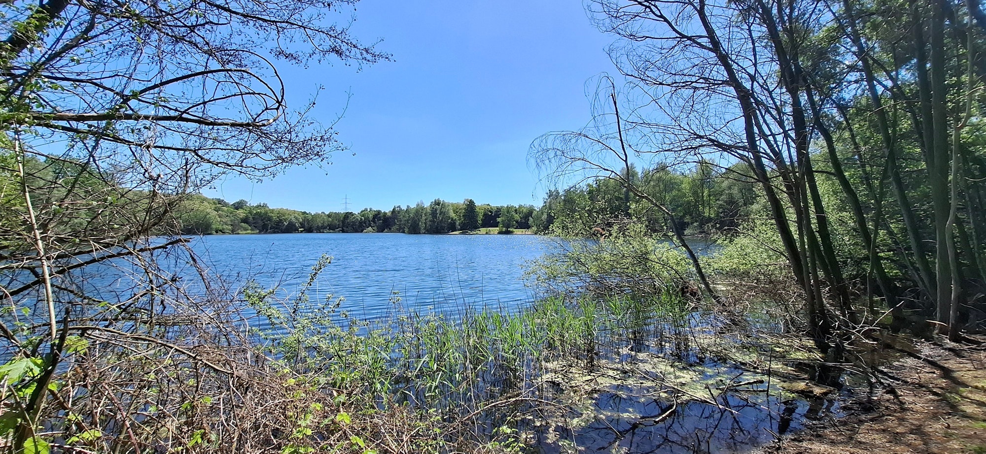 Blick auf den Silbersee