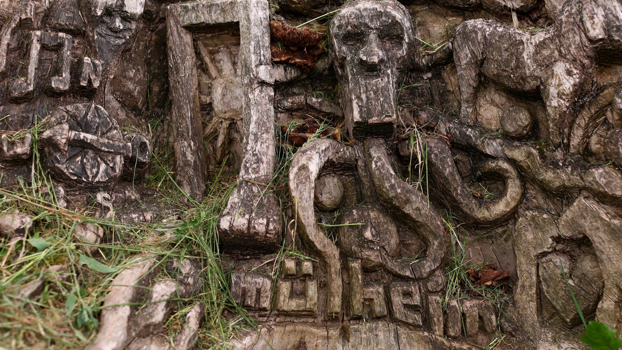 In einen Baumstamm ist der Schriftzug Mülheim geschnitzt worden.