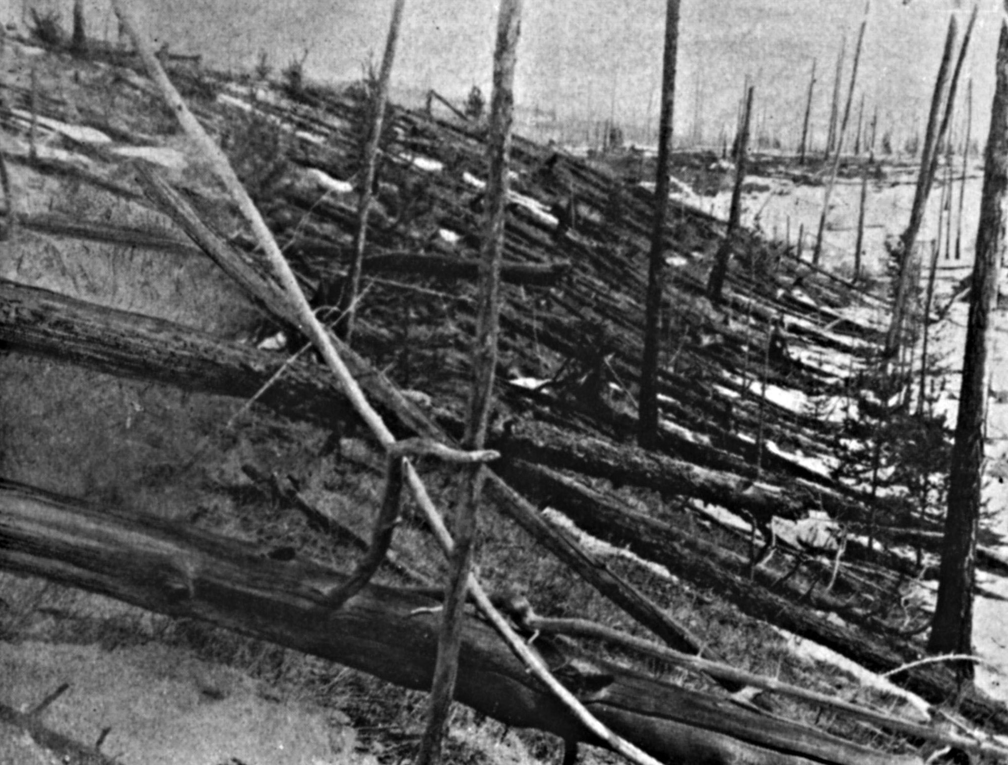 Das Tunguska-Ereignis: Wahrscheinlich ein großer Brocken aus dem All verwüstete 1908 ein Gebiet in Sibirien. (Archivbild)