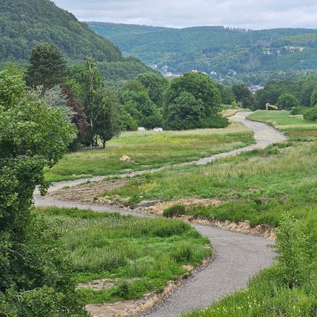 Eine schmale Straße schlängelt sich durch ein hügeliges Gebiet, das mit Wiesen und Bäumen bewachsen ist.