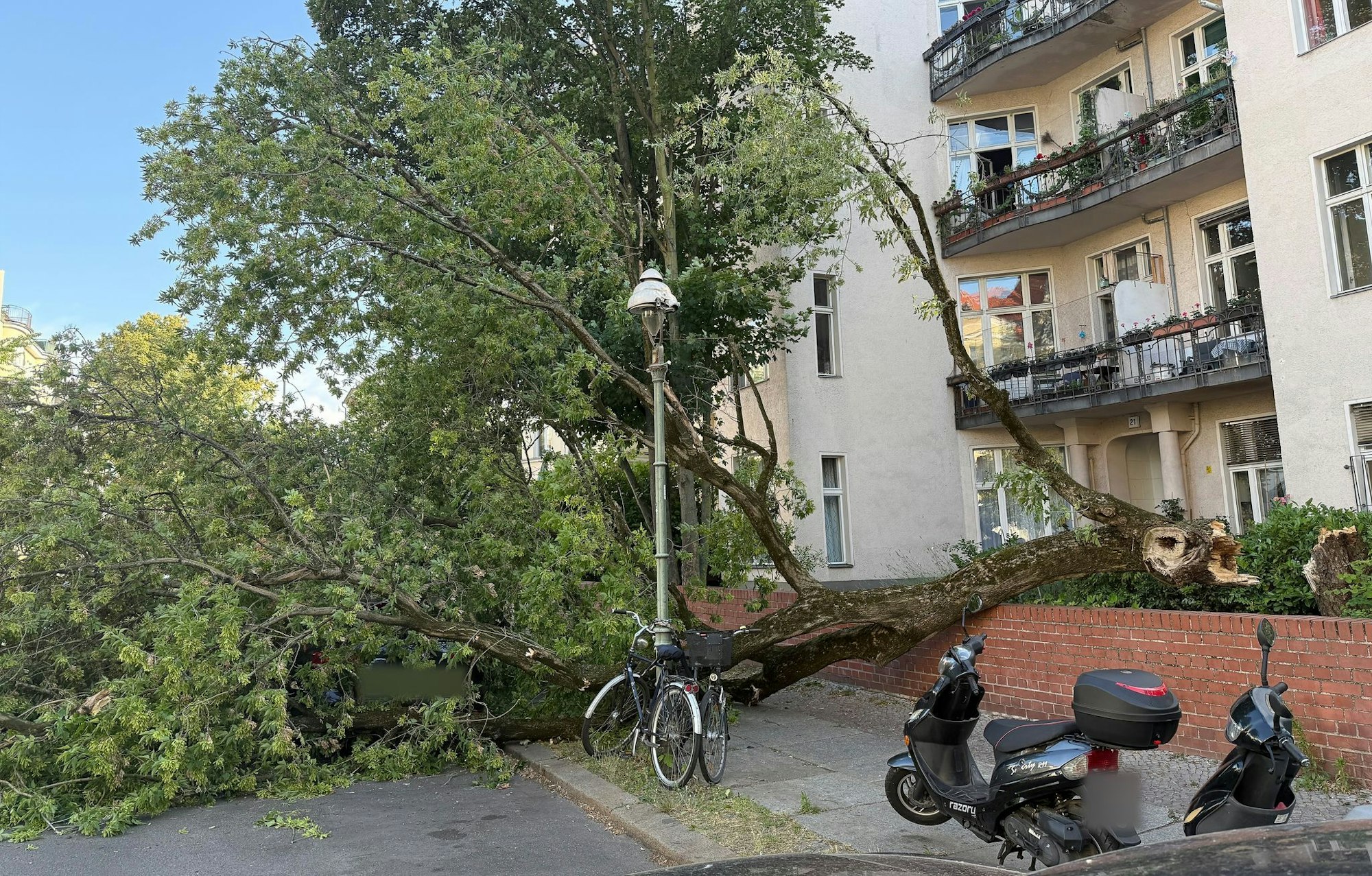 Um die Sturmschäden zu beseitigen, musste die Feuerwehr am Montagabend zu zahlreichen Einsätzen ausrücken.
