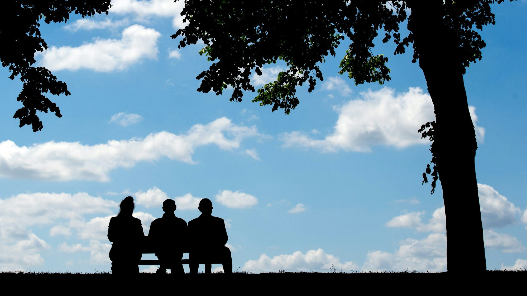 Drei ältere Personen sitzen am 04.06.2015 im Schatten eines Baumes auf einer Bank am Oderdeich im polnischen Slubice, der Nachbarstadt von Frankfurt (Oder) (Brandenburg). Zum Wochenende (06./07.06.2015) soll der Sommer mit Temperaturen über 30 Grad Einzug halten. Foto: Patrick Pleul/ZB +++(c) ZB-FUNKREGIO OST - Honorarfrei nur für Bezieher des ZB-Regiodienstes+++