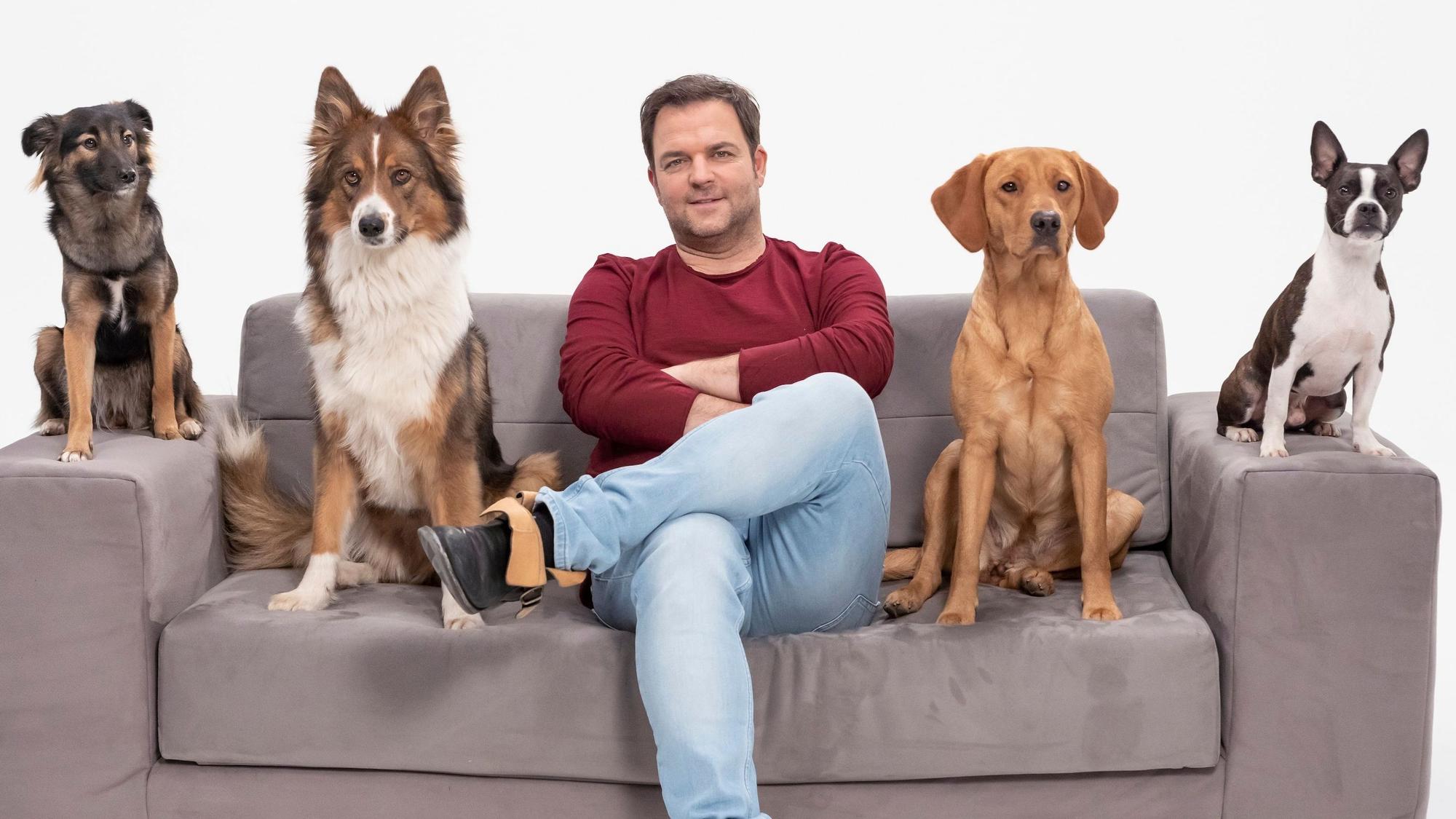 Martin Rütter auf einem Sofa mit 4 Hunden. (Archivbild)