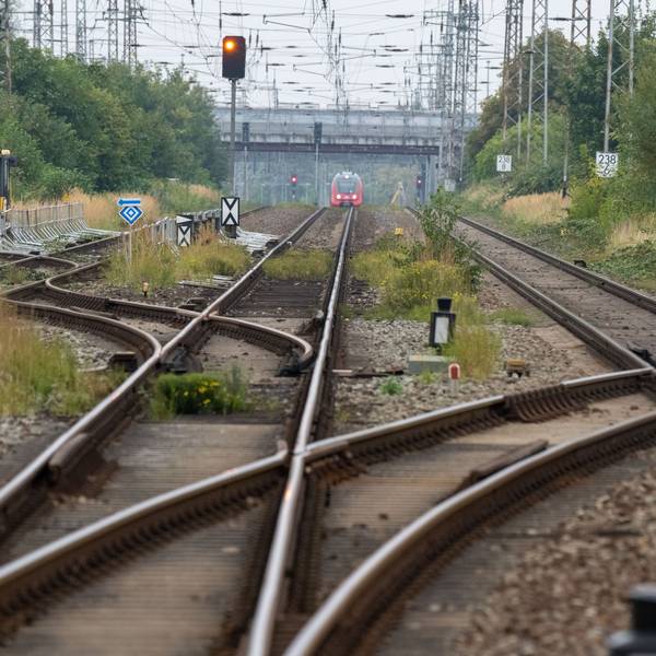 Blick auf Bahngleise und eine Regionalbahn unter einer Brücke (Symbolfoto).