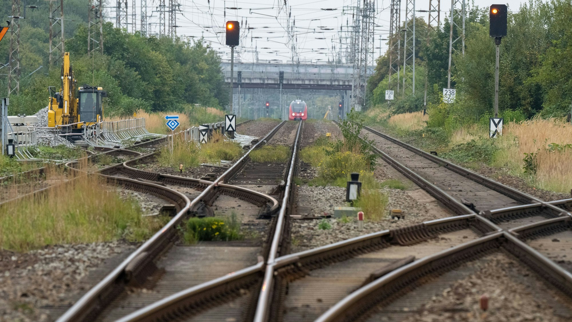 Blick auf Bahngleise und eine Regionalbahn unter einer Brücke (Symbolfoto).