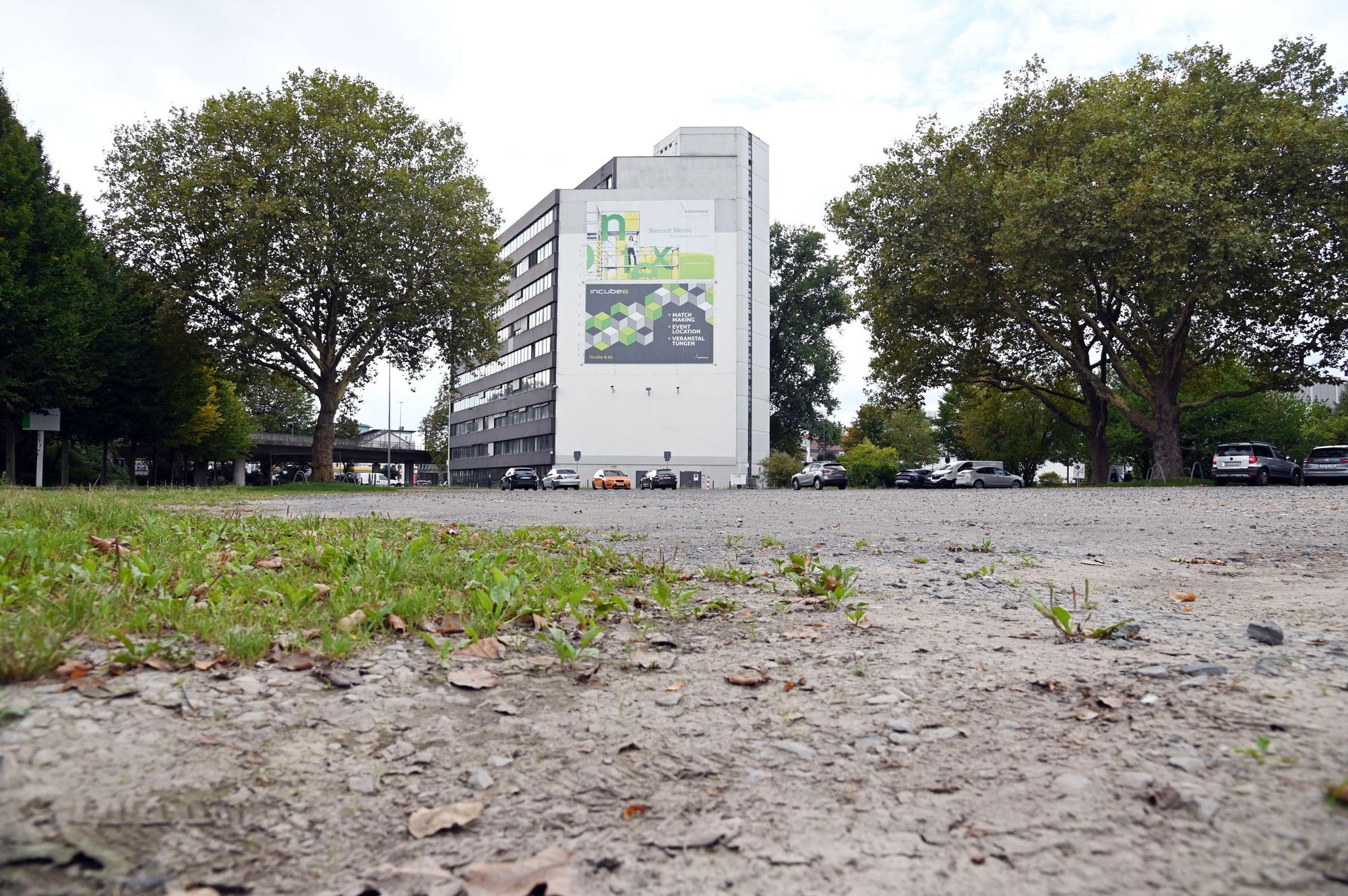 Auf einem leerstehenden Parkplatz wächst Gras.