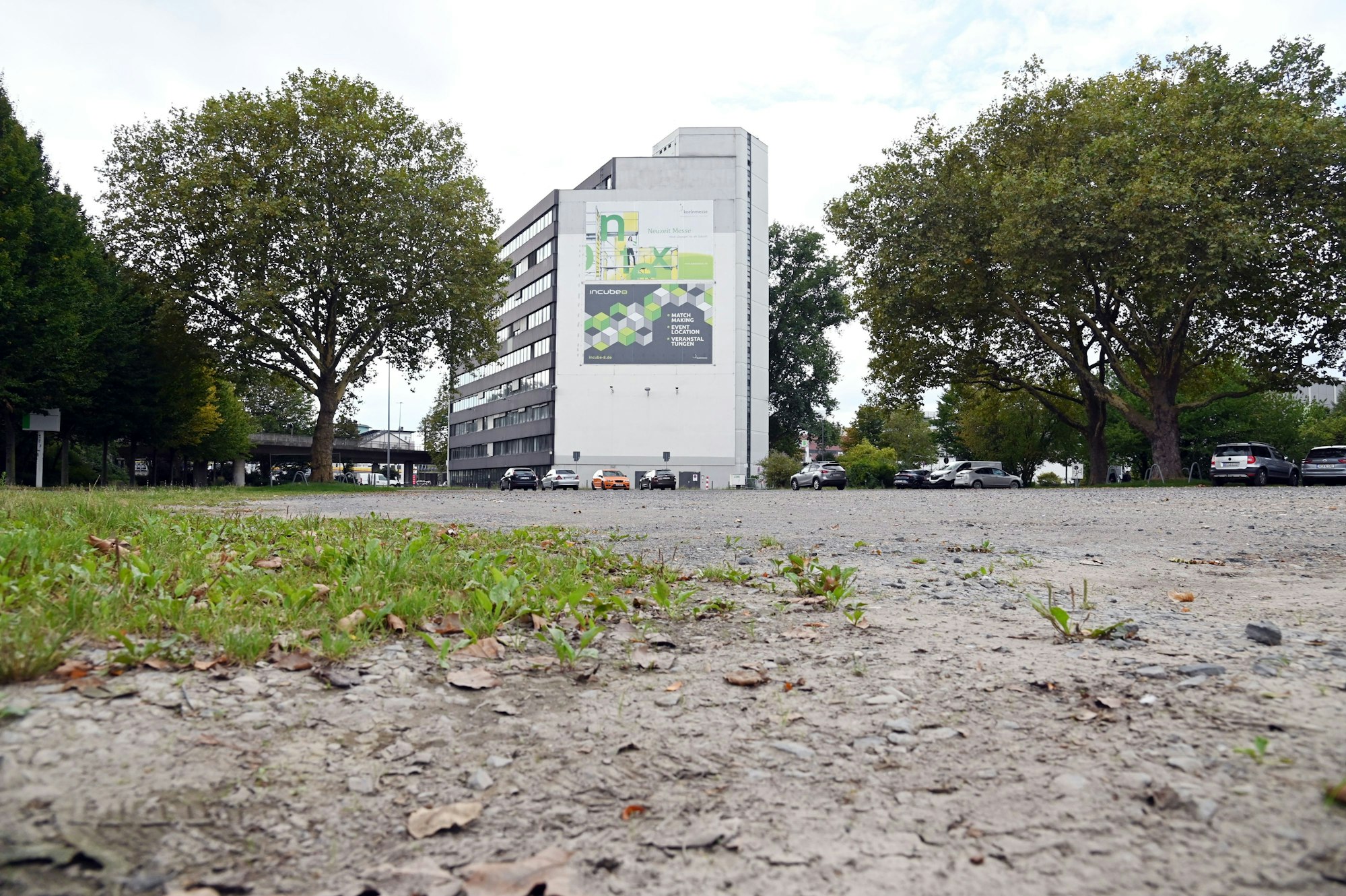 Auf einem leerstehenden Parkplatz wächst Gras.
