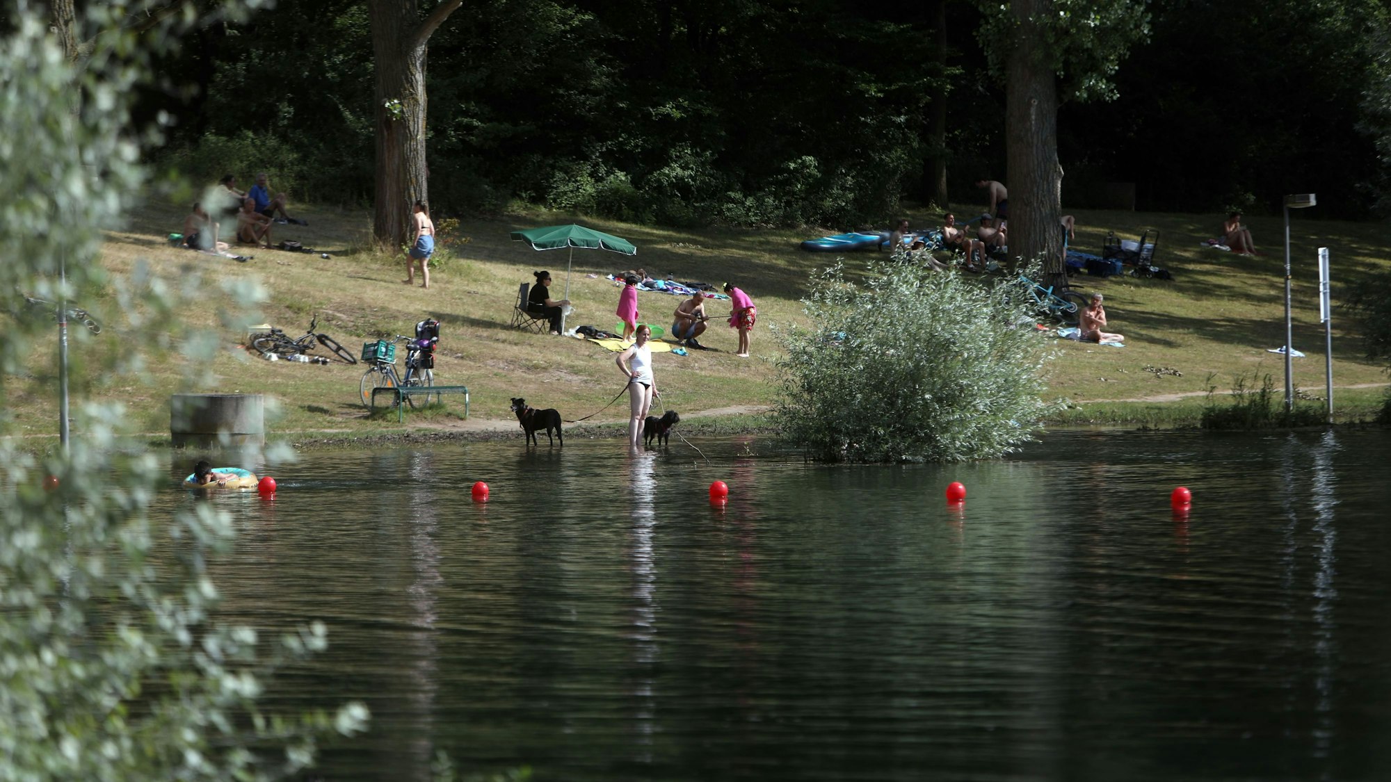 15.07.2024, Köln: Abkühlung am Fühlinger See. (Archivbild)