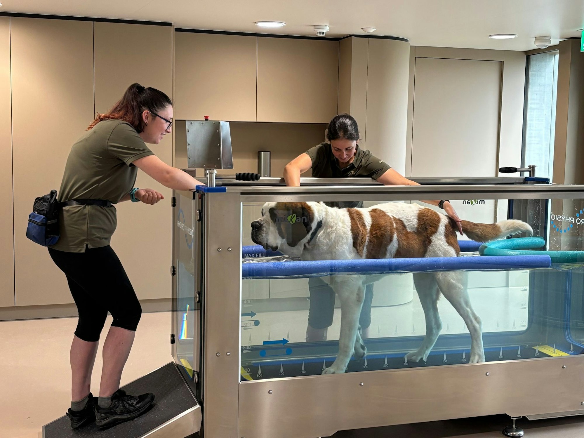 Im «Barryland» können Besucher die tägliche Pflege der Hunde live miterleben.
