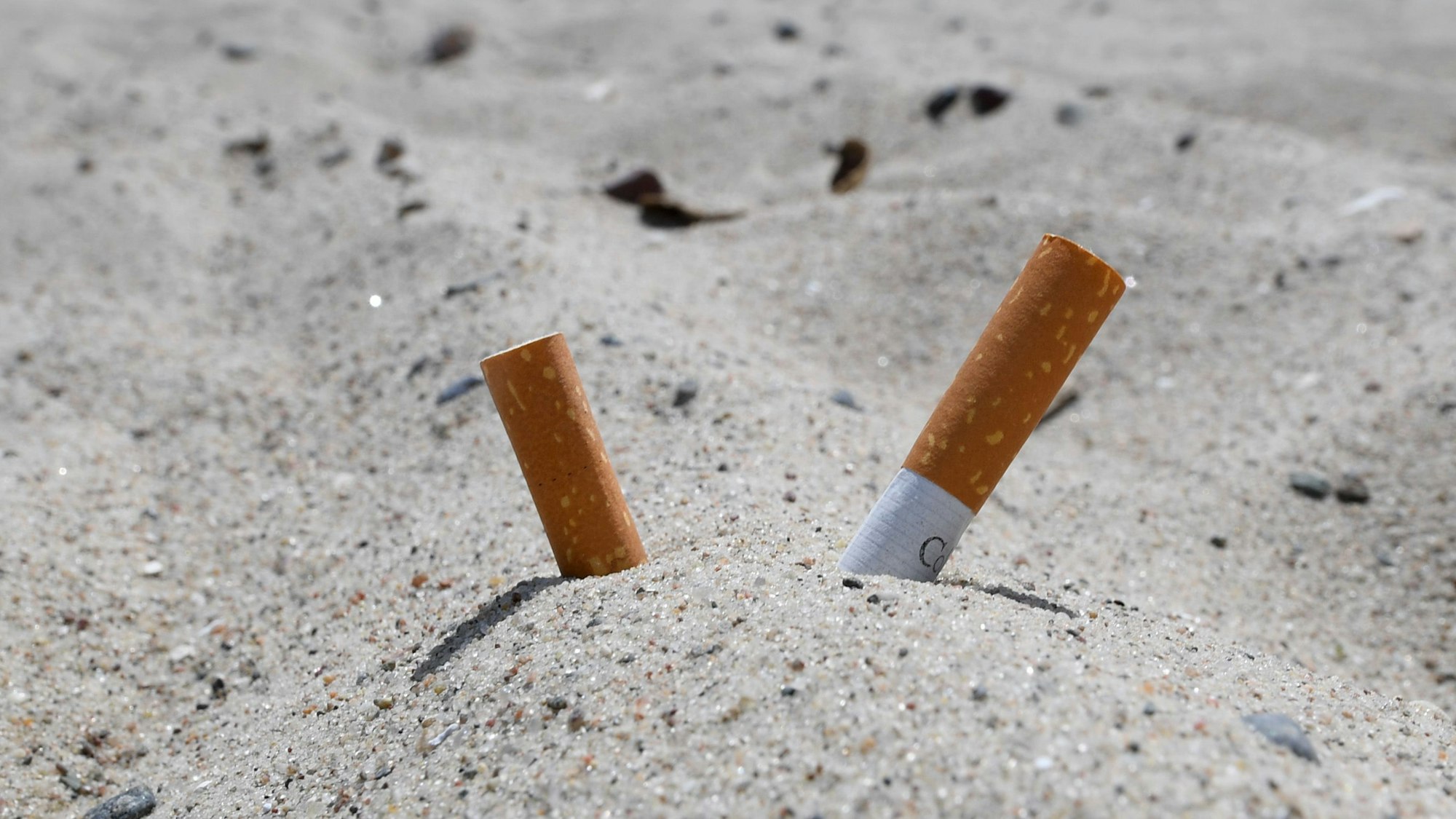 Zigarettenkippen stecken im Sand.