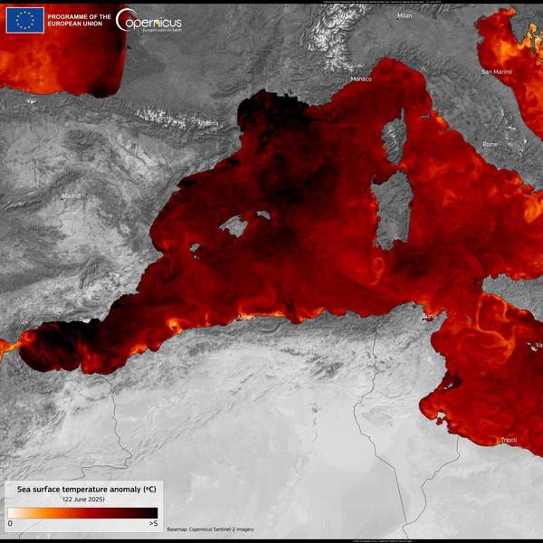 Grund für die Hitzewellen sind die hohen Temperaturen des Mittelmeers, erklärt Meteorologe Karsten Schwanke. Die Karte zeigt die Abweichung der aktuellen Meereswerte im Vergleich zum langjährigen Mittel, teilweise sind es bis zu fünf Grad mehr.