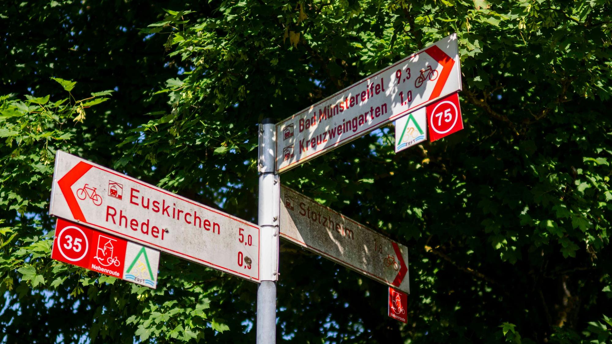 Halb von Bäumen verdeckt sind weiß-rote Hinweischilder für Radfahrwege im Kreis Euskirchen.