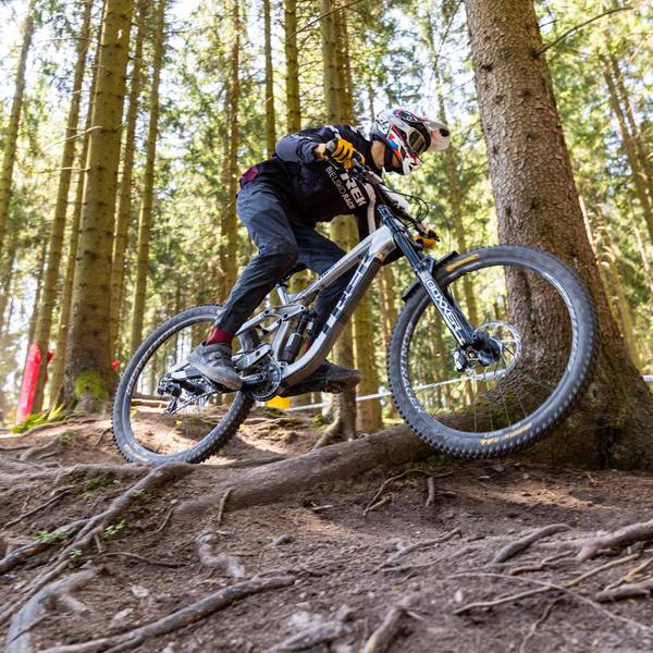 Ein Mountainbike-Event im Sauerland kann wegen der Schweinepest nicht stattfinden (Symbolbild).