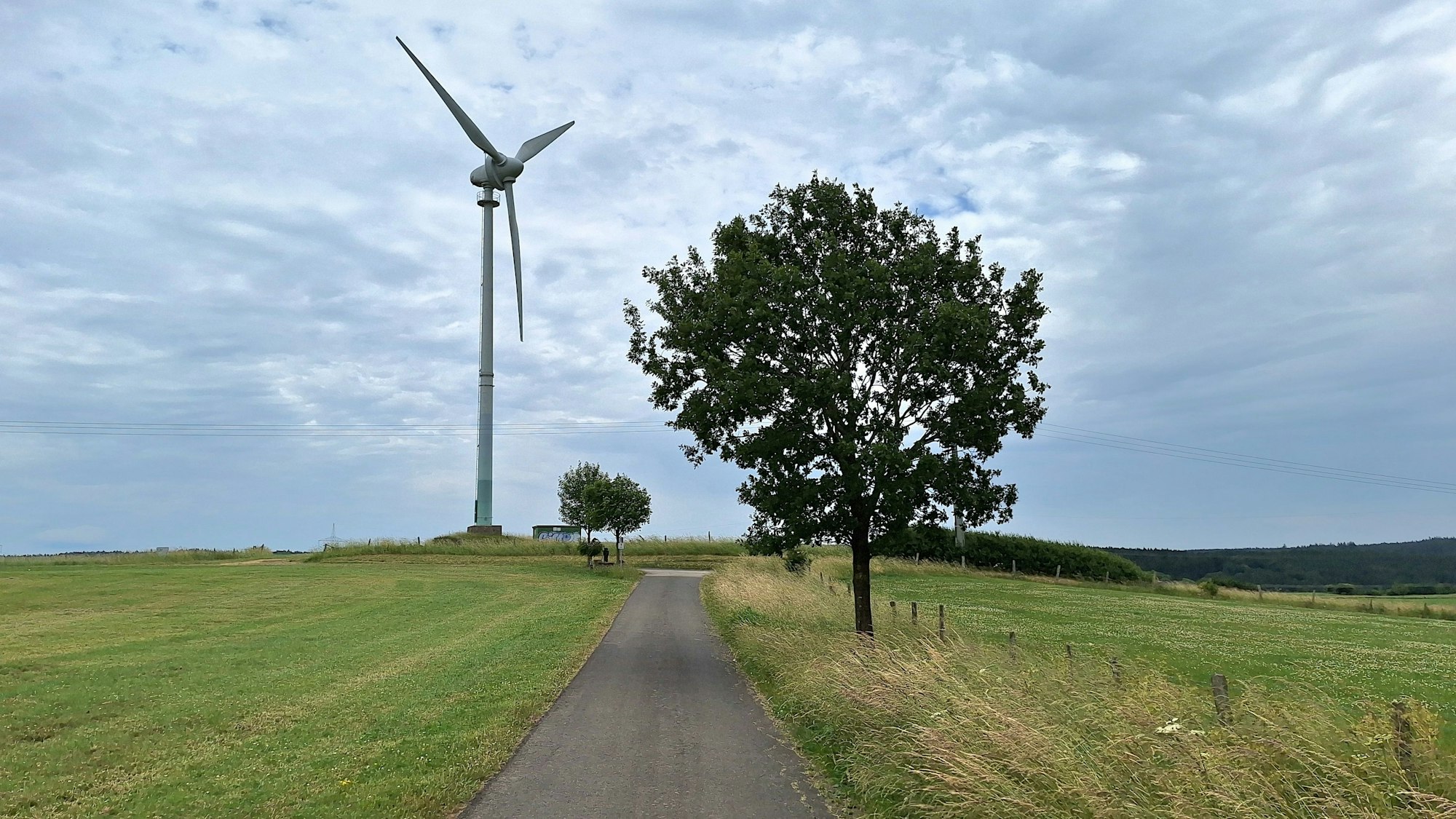 Links von einem asphaltierten Wirtschaftsweg bei Dahlem steht ein Windrad, rechts ist ein Baum.