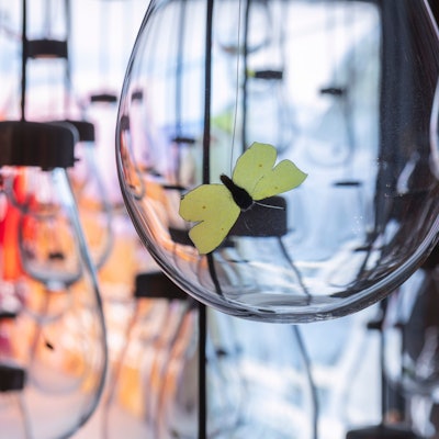 Bundeskunsthalle Bonn