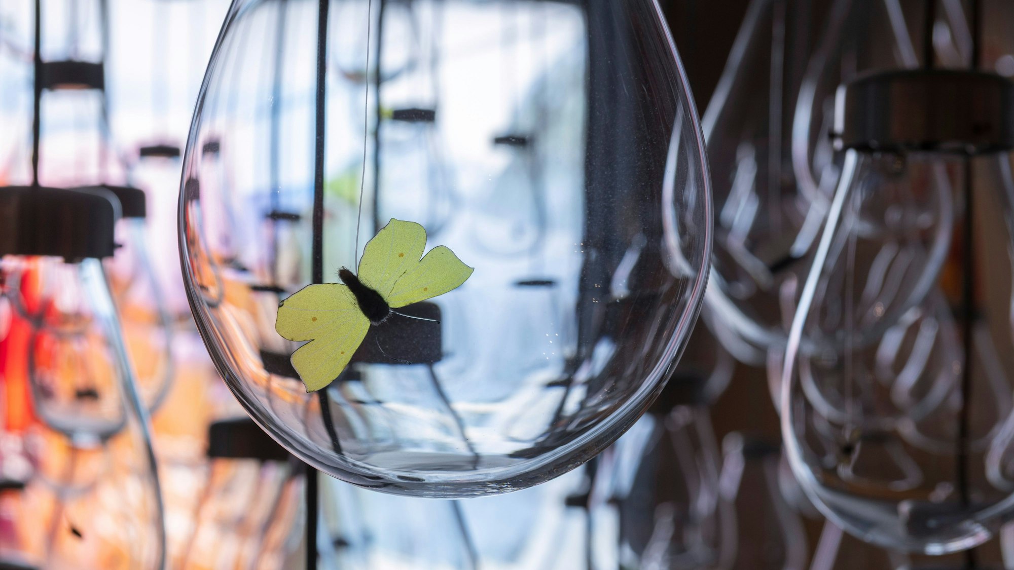 Bundeskunsthalle Bonn