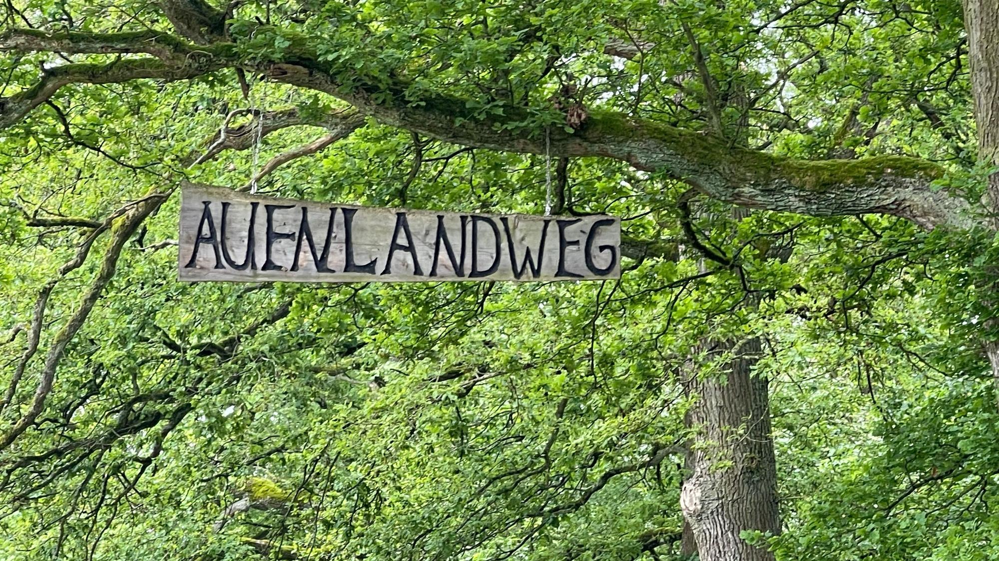 Der Auenlandweg bei Wissen.