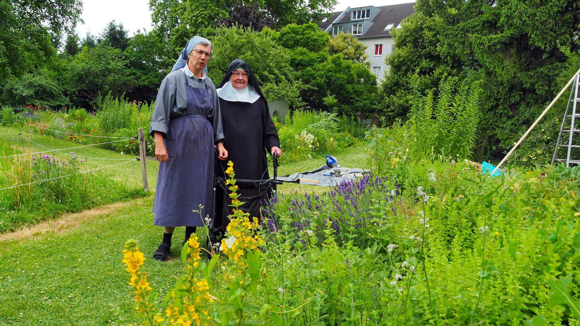Eine junge und eine ältere Nonne stehen in einem großen Garten neben einem Beet mit hochgewachsenen Heilkräutern.