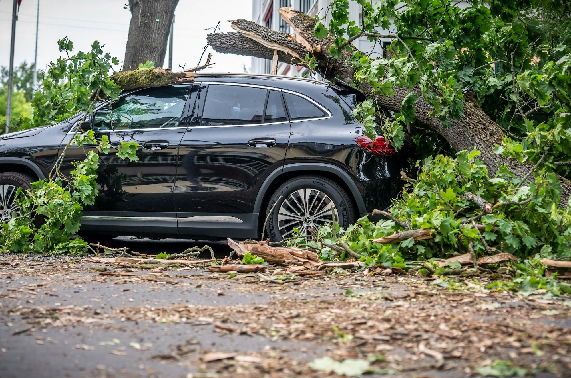 In Berlin führte jüngst ein Sturm zu zahlreichen Schäden. Eine Frau starb.
