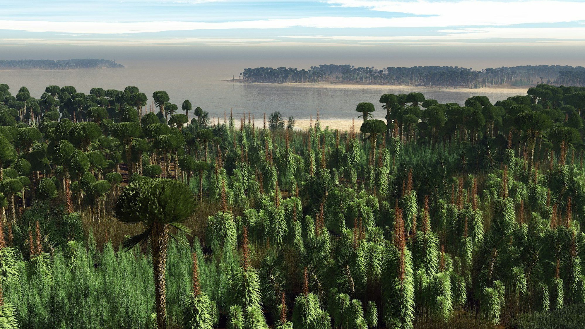 Rekonstruktion des ältesten Waldes der Welt in Lindlar, von M. Kriek, Amsterdam.