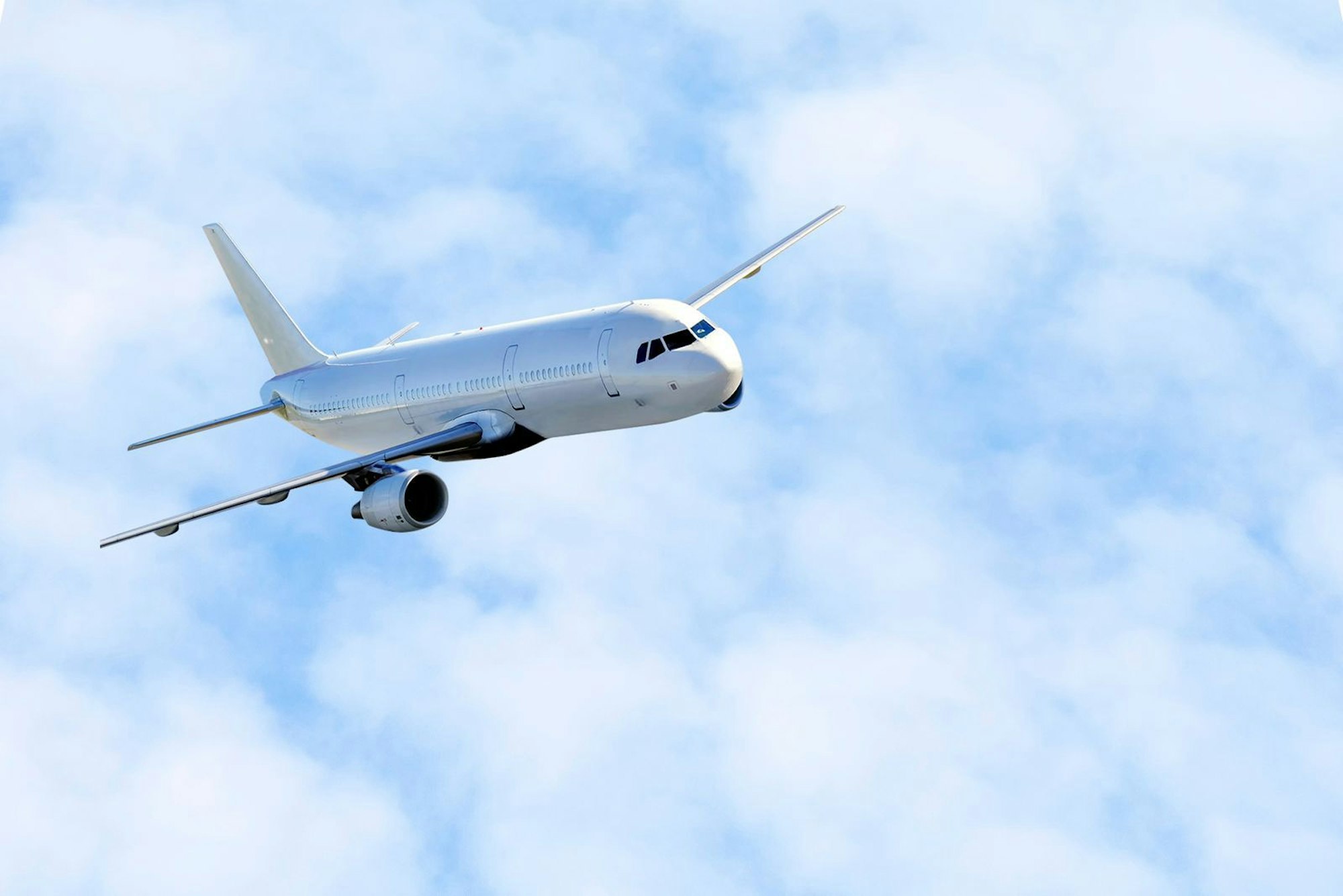 Auch für Gefahrenlagen werden besondere Codes als Umschreibungen eingesetzt. So leuchtet zum Beispiel bei Notfällen im vorderen Teil der Flugkabine ein spezielles Licht auf. Dazu wird häufig der Ausdruck „Kaktus“ von der Flugzeug-Crew gebraucht. Das Wort wird speziell für medizinische Notfälle mit Passagierinnen und Passagieren eingesetzt, die sich in Lebensgefahr befinden. (Bild: iStock/Funtay)