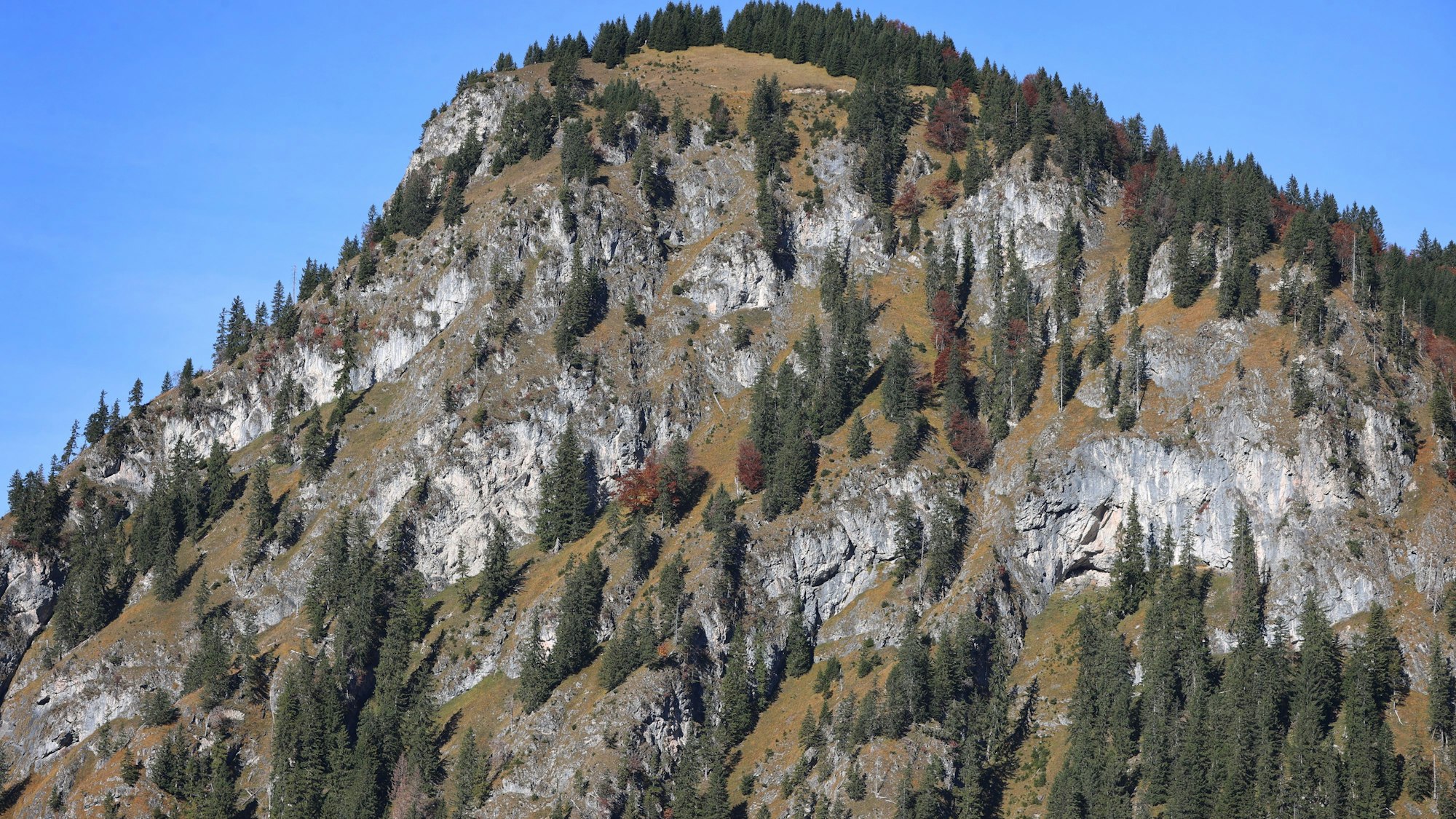 Allgäuer Alpen Detailansicht
