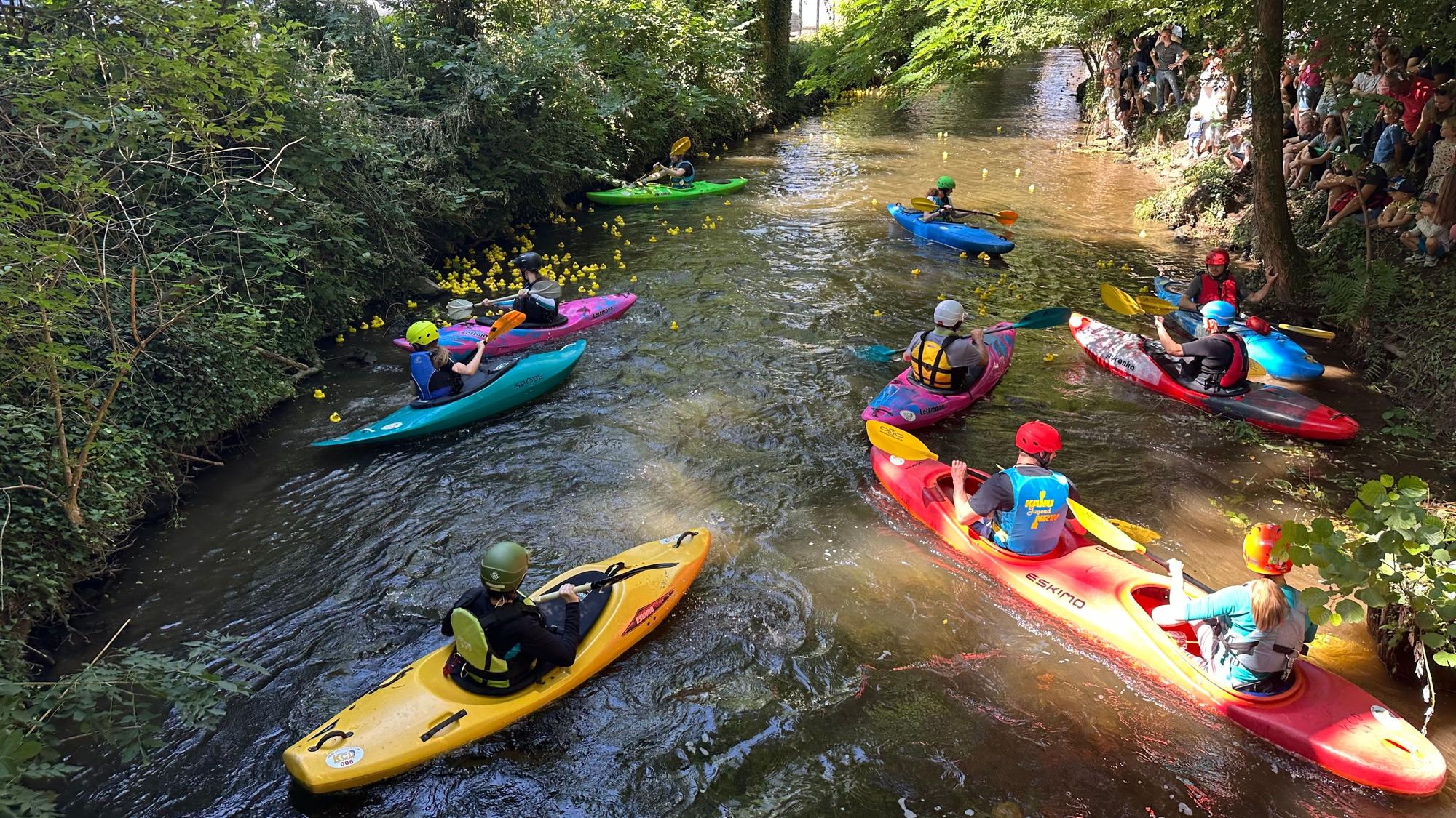 Aktive des Kanuclubs Delphin Siegburg befreiten Plastikenten, die sich am Ufer verfangen hatten.