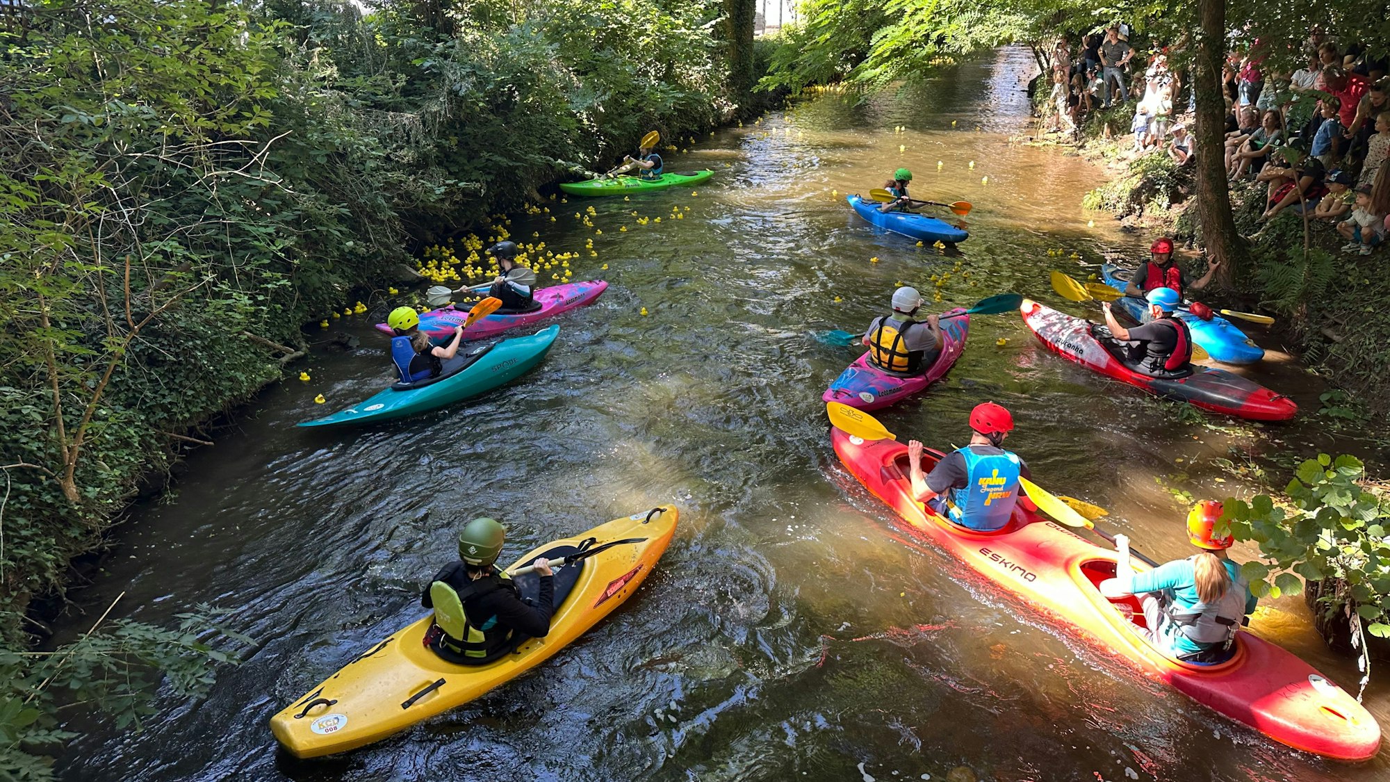 Aktive des Kanuclubs Delphin Siegburg befreiten Plastikenten, die sich am Ufer verfangen hatten.