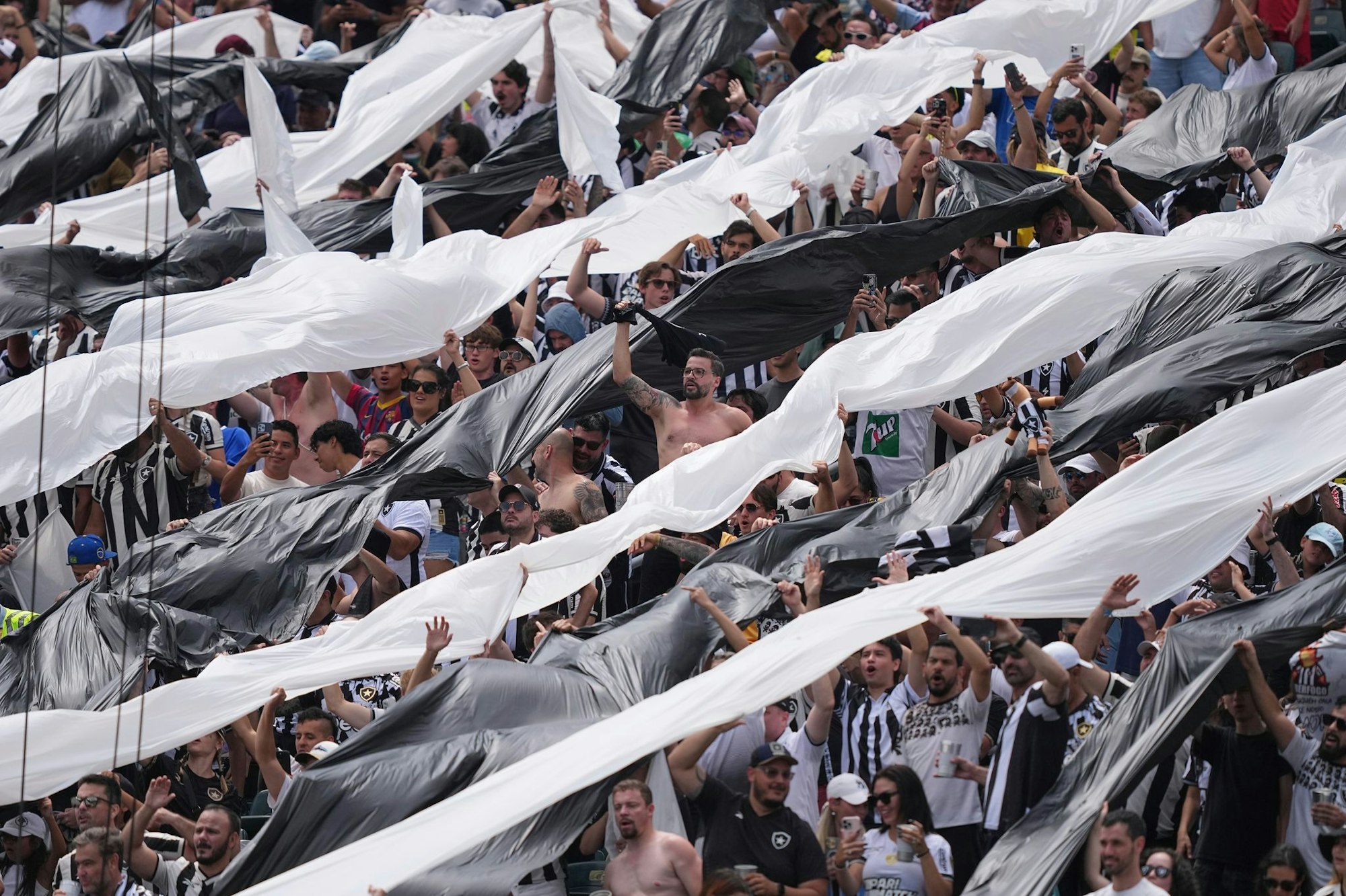 Botafogo-Fans bei der Club-WM.