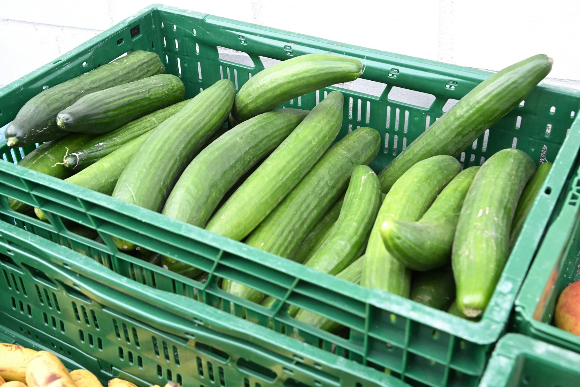 Bergische Lebensmittelretter in Overath Reportage