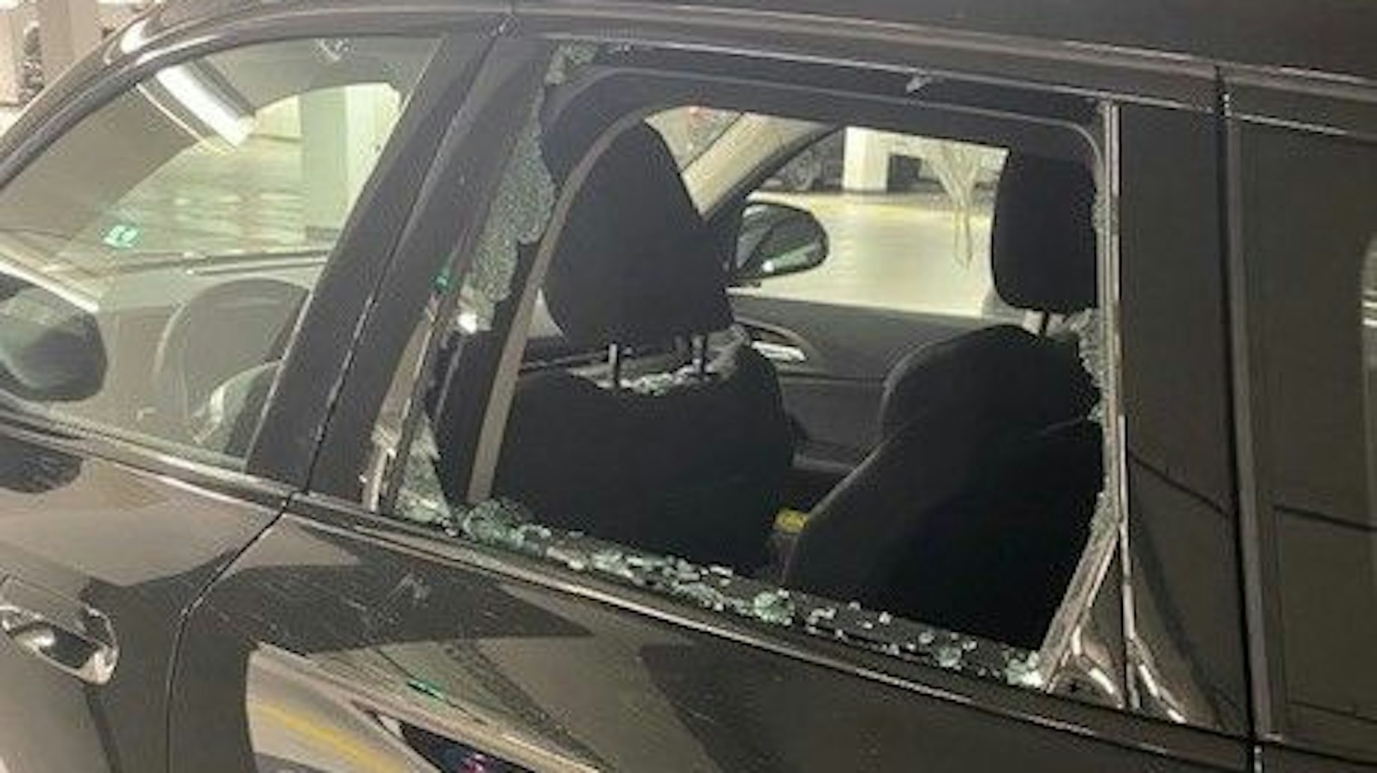 Die Einsatzkräfte schlugen eine Seitenscheibe ein, um das Tier zu befreien.