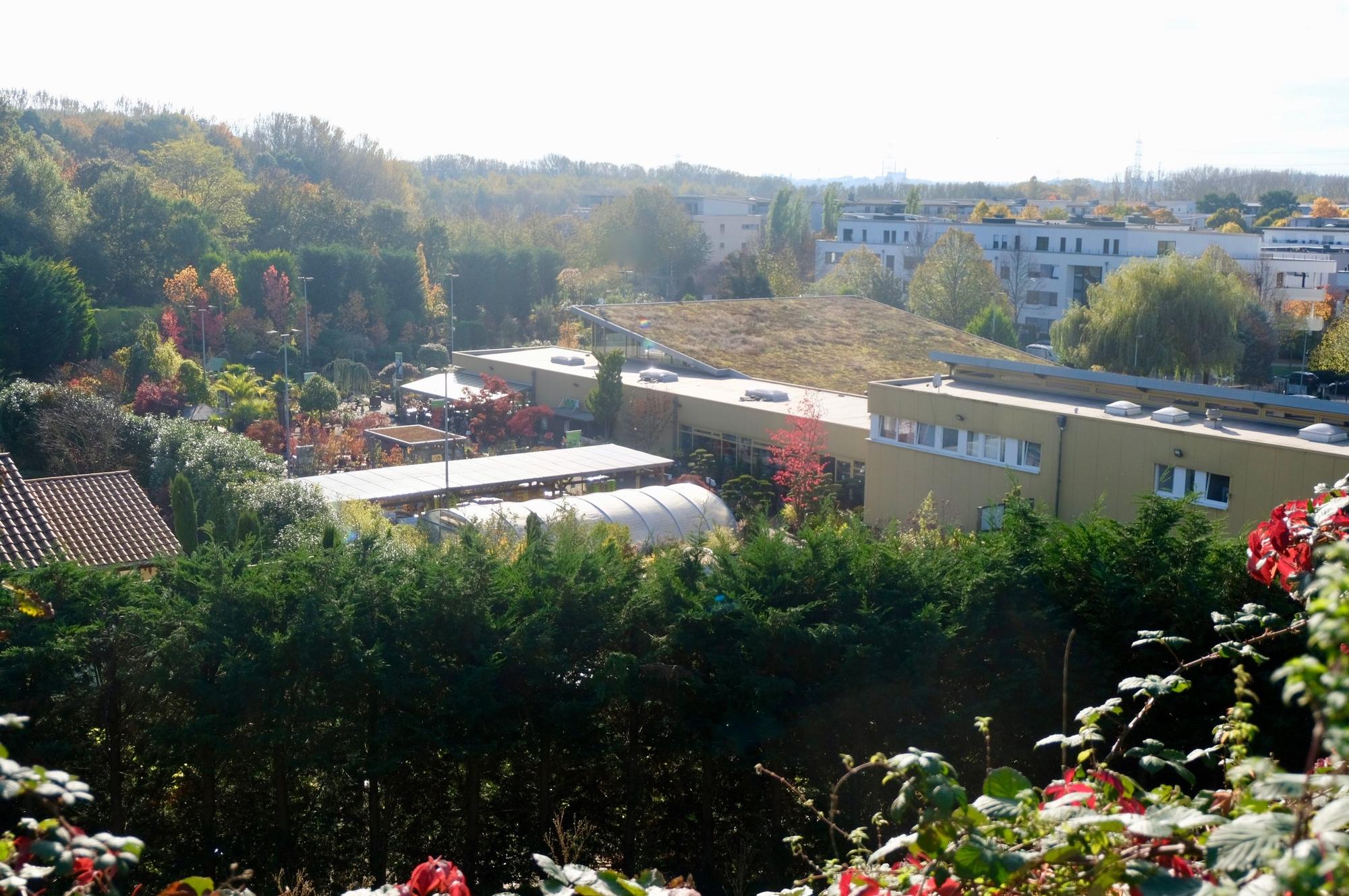 Blick von oben auf das Gelände eines Gartenbaubetriebs