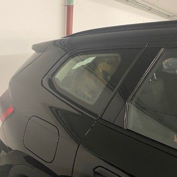 Die Feuerwehr hat am Samstag (28.6.) in einem Parkhaus in Köln einen erschöpften Hund aus einem überhitzten Auto befreit.