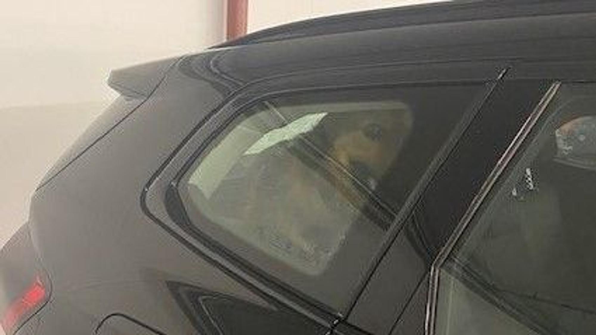 Die Feuerwehr hat am Samstag (28.6.) in einem Parkhaus in Köln einen erschöpften Hund aus einem überhitzten Auto befreit.