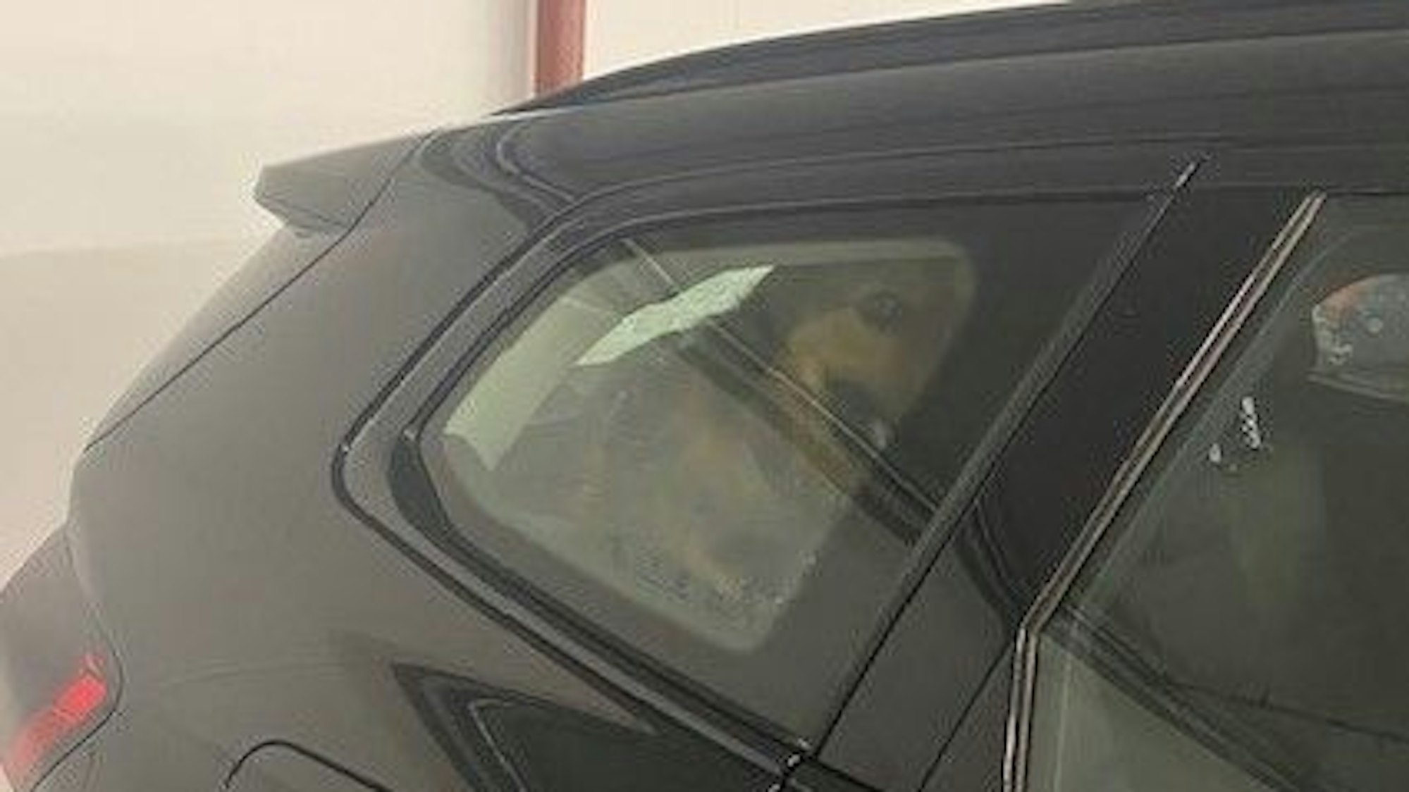 Die Feuerwehr hat am Samstag (28.6.) in einem Parkhaus in Köln einen erschöpften Hund aus einem überhitzten Auto befreit.