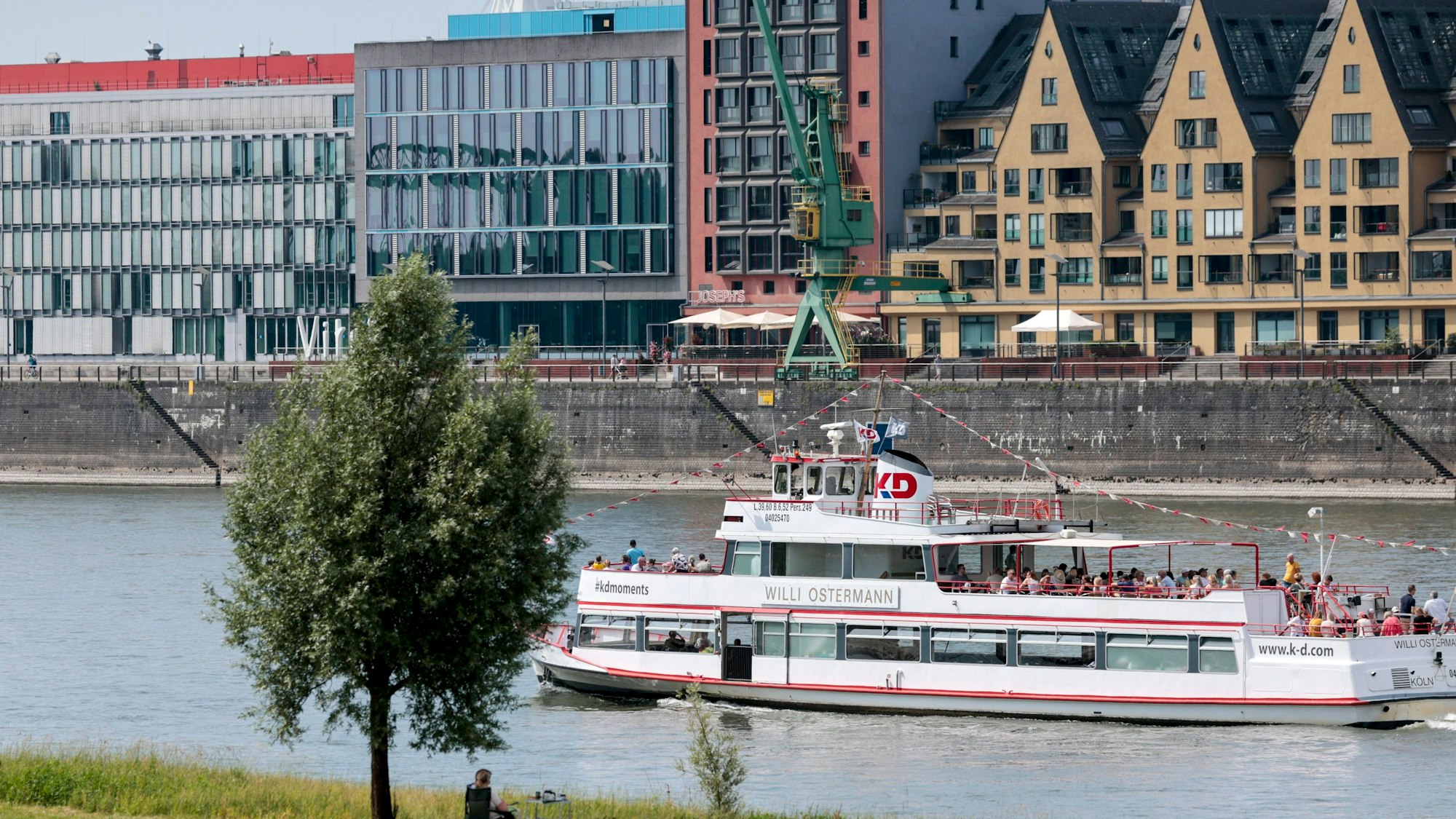 22.06.2025, Nordrhein-Westfalen, Köln: Das Ausflugsschiff Willi Ostermann der Köln-Düsseldorfer Deutsche Rheinschiffahrt GmbH fährt auf dem Rhein. Foto: Thomas Banneyer/dpa +++ dpa-Bildfunk +++