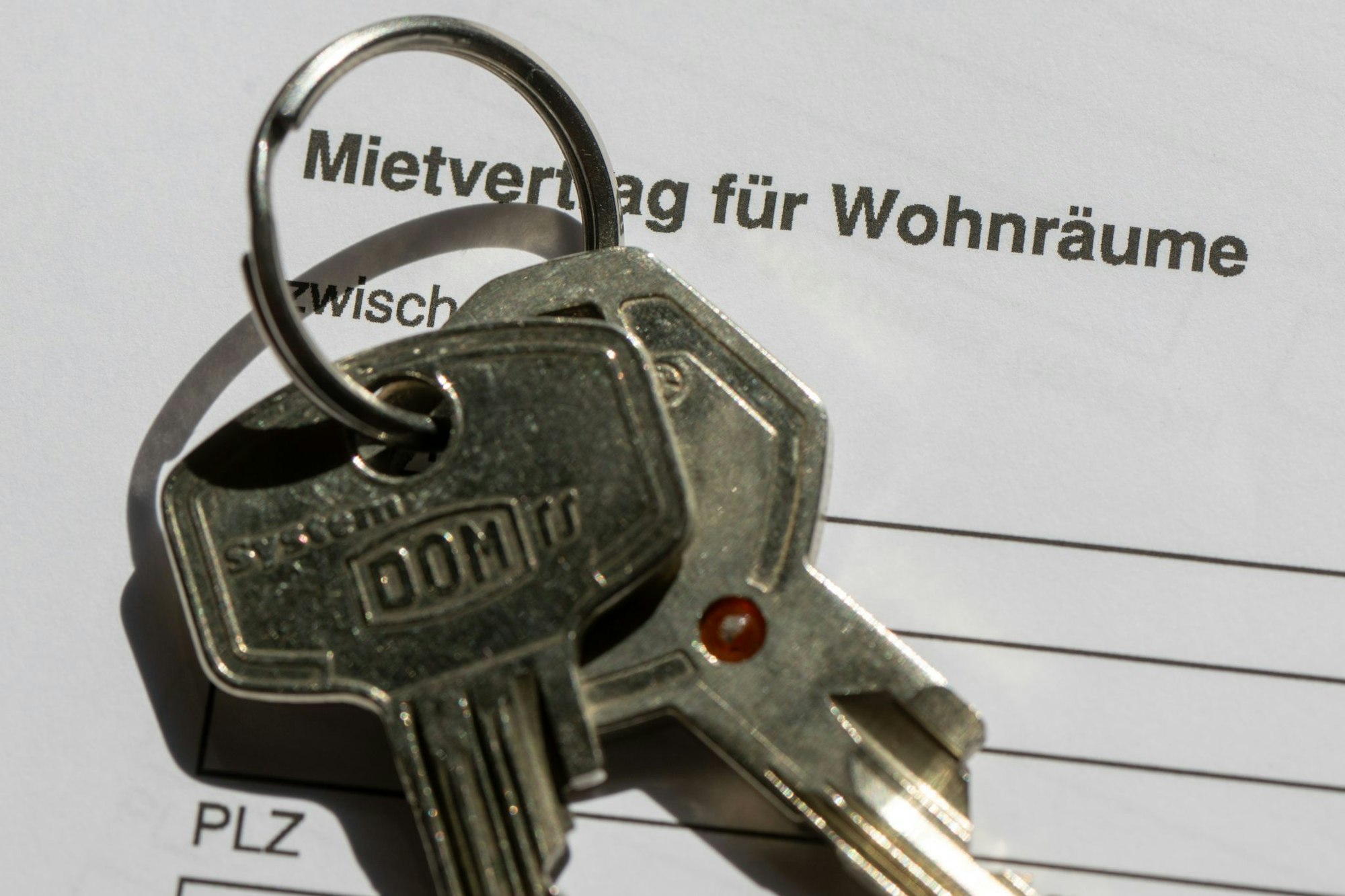 Auf dem engen Wohnungsmarkt sind die Mieten oft zu hoch. (Illustration)