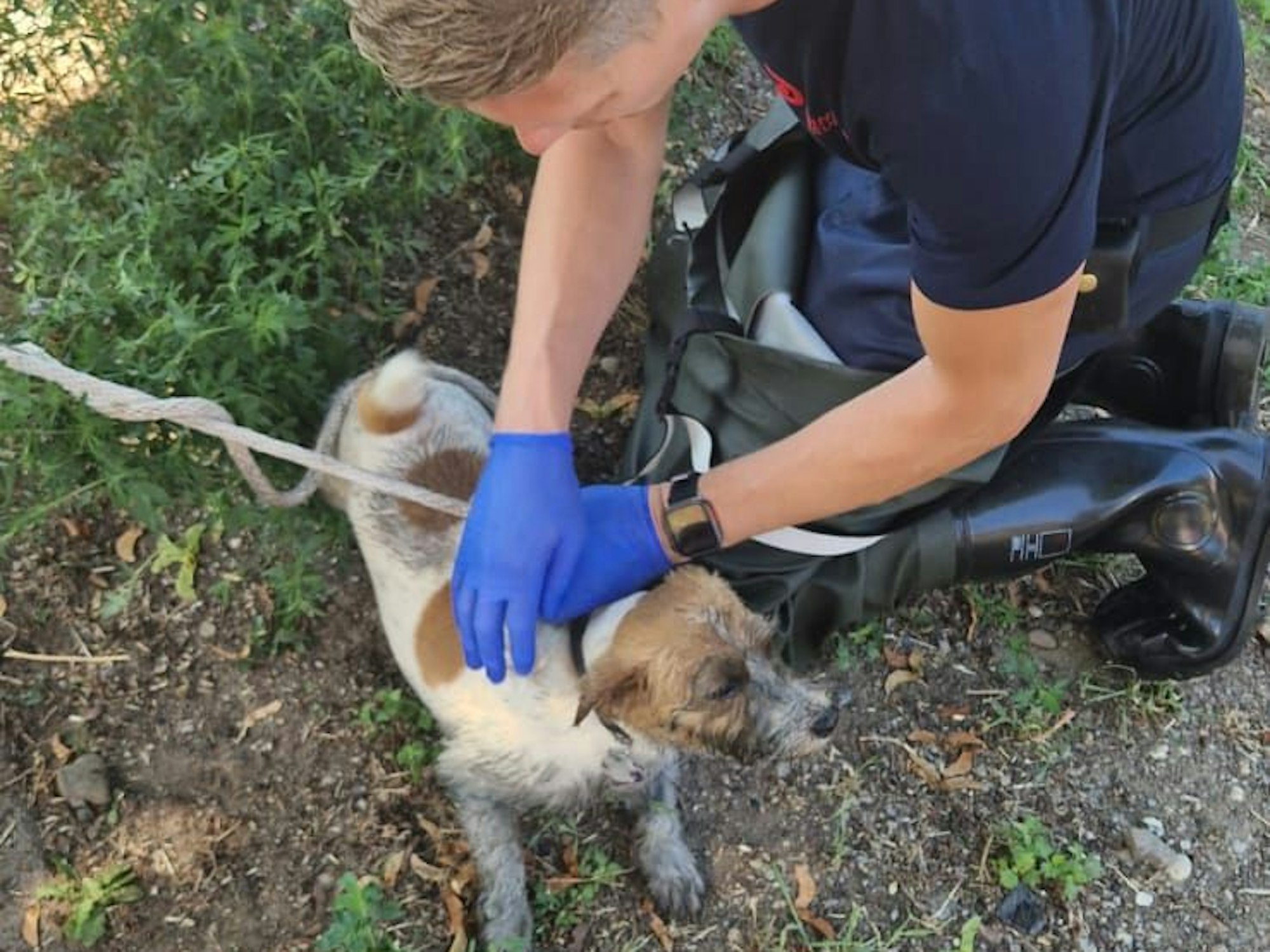 Bei dem ersten Tier handelte sich augenscheinlich um einen Hund. Er konnte leicht mit den Händen herausgehoben und befreit werden. Das zweite Tier saß jedoch noch in dem Kanal fest.