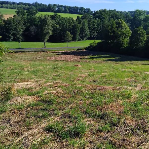 Ein Wohngebiet mit Mehr- und Einfamilienhäusern soll auf diesem Hanggrundstück neben dem Hallenbad und oberhalb der Brölstraße entstehen.