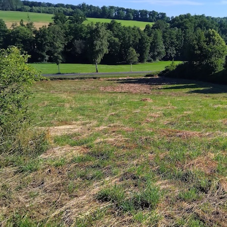 Ein Wohngebiet mit Mehr- und Einfamilienhäusern soll auf diesem Hanggrundstück neben dem Hallenbad und oberhalb der Brölstraße entstehen.