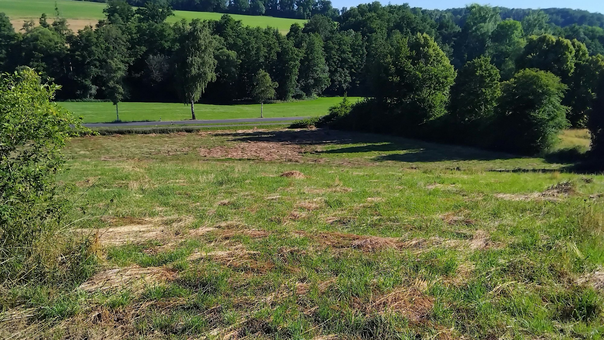 Ein Wohngebiet mit Mehr- und Einfamilienhäusern soll auf diesem Hanggrundstück neben dem Hallenbad und oberhalb der Brölstraße entstehen.