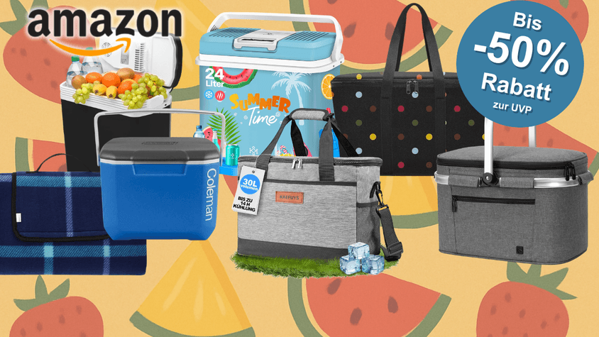 Verschiedene Kühlboxen und Kühltaschen sind vor einem Hintergrund mit Wassermelonen, Erdbeeren und Ananas angeordnet.